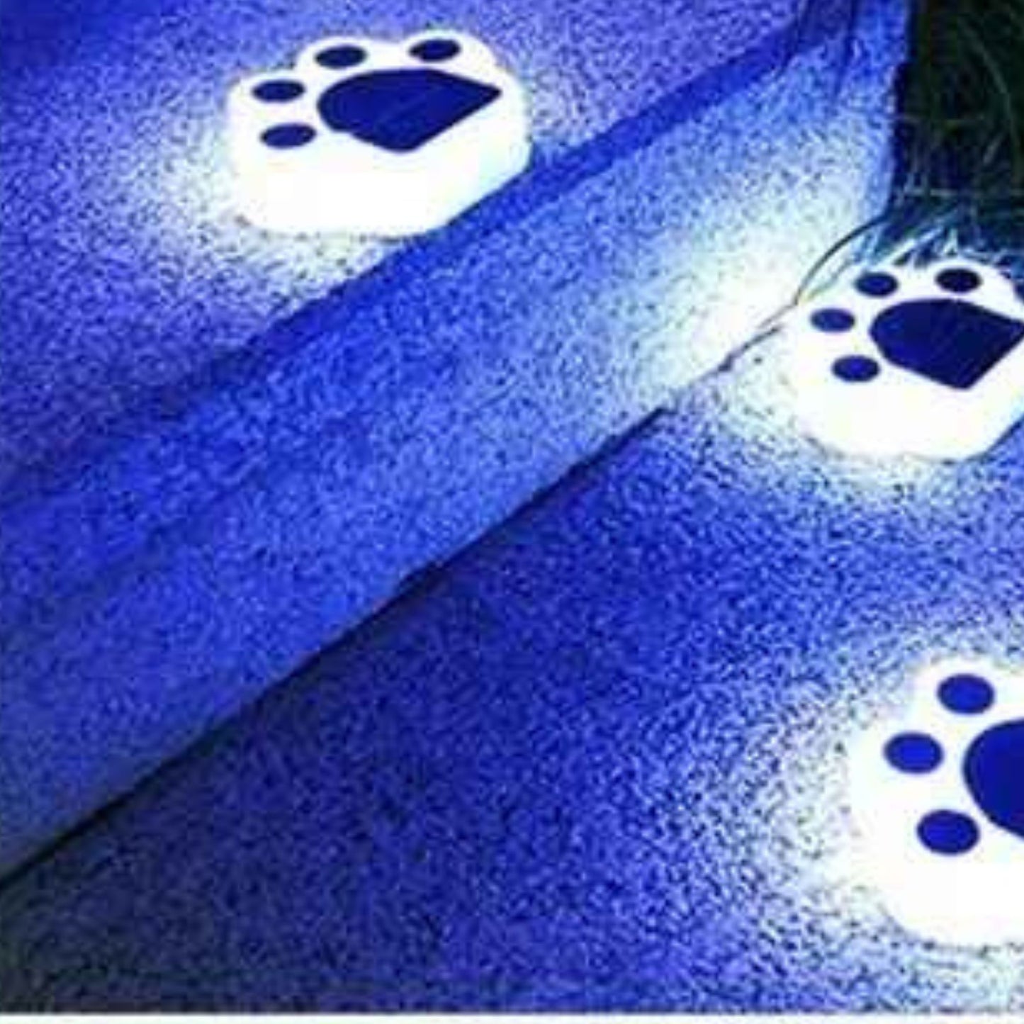 Lampes solaires pour le jardin patte de chat bleu