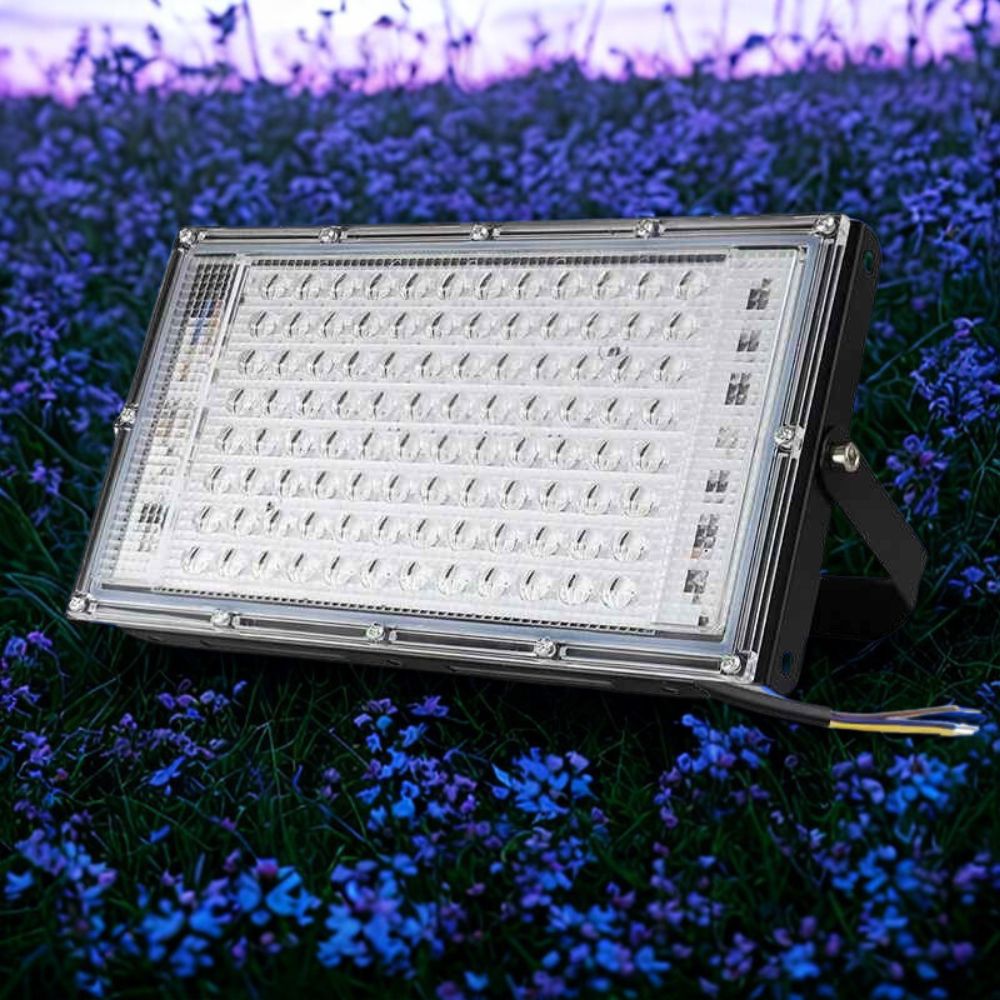 Projecteur LED pour festivité
