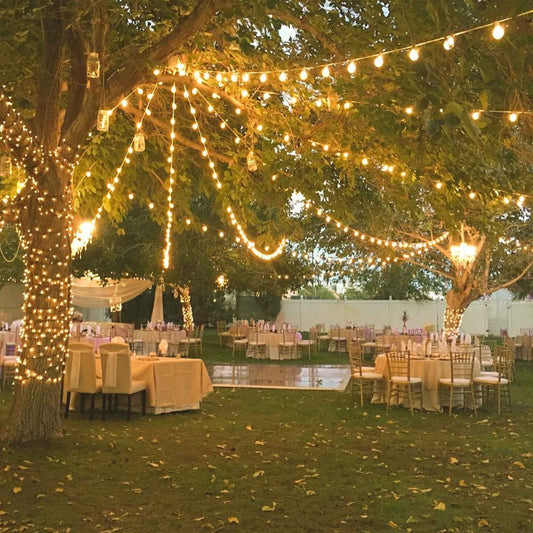 Guirlande guinguette extérieur - Sélections Sécurisées et Décorations pour Petites et Grandes Occasions